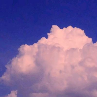 澳门·新葡澳京